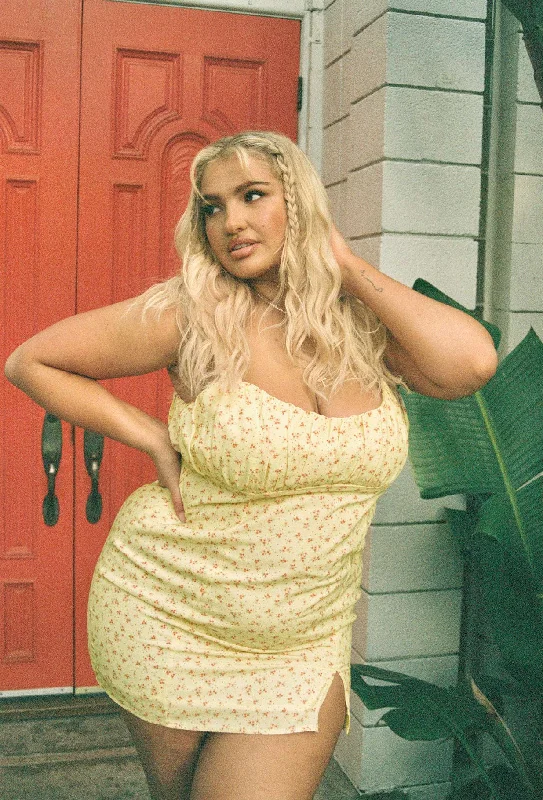 Price Drop Freya Mini Dress Curve